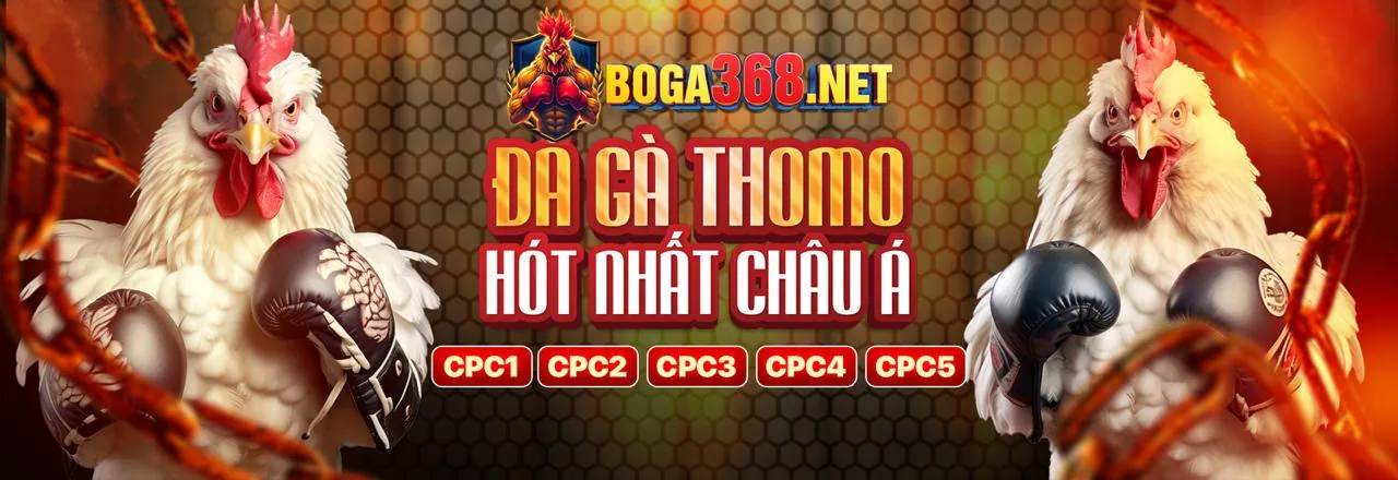 Đá gà trực tuyến sôi động tại tt 88